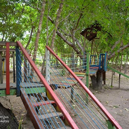 Oca Tocarijus Eco Resort Piracuruca Екстериор снимка