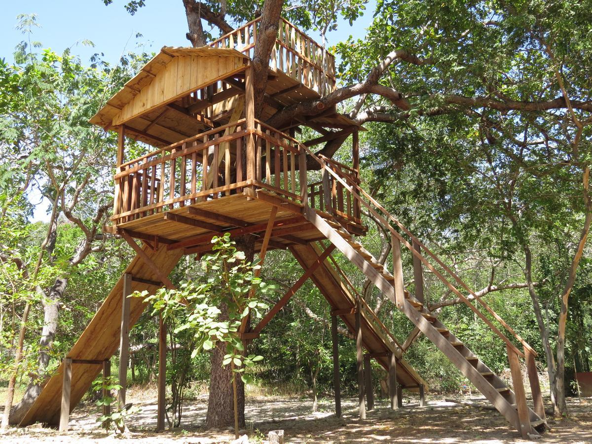 Oca Tocarijus Eco Resort Piracuruca Екстериор снимка
